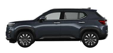 Meteroid Gray Metallic