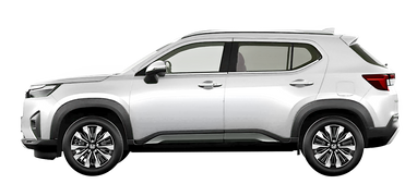 Platinum White Pearl