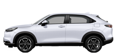 Platinum White Pearl