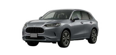 Meteorid Gray Metallic